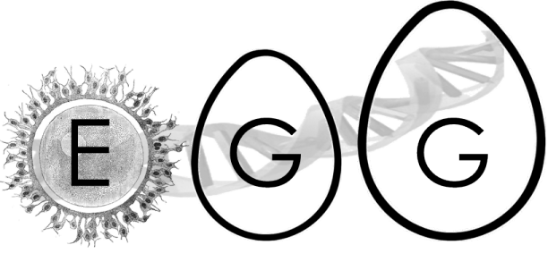 EGG Consortium Logo